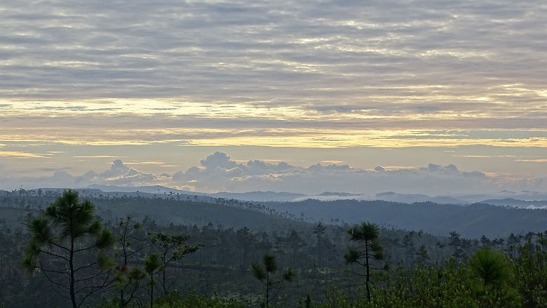 Mountain Pine Ridge - Belize