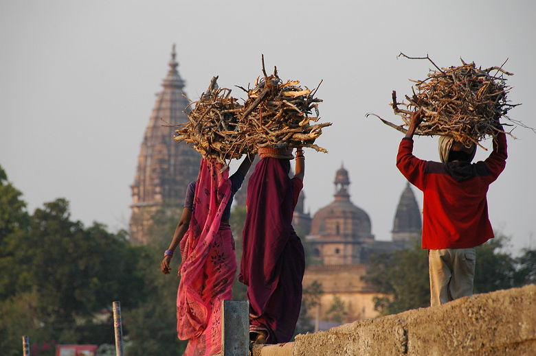 Inde - Portrait de trois femmes portant des bûches de toi sur la tête à Orchha