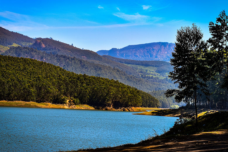 Munnar au Kerala