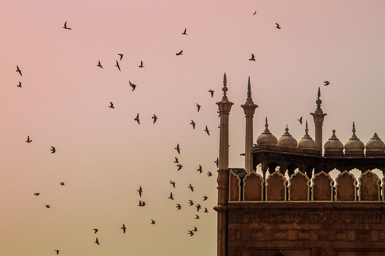 Inde - Façade de la mosquée de Jama Masjid à Delhi