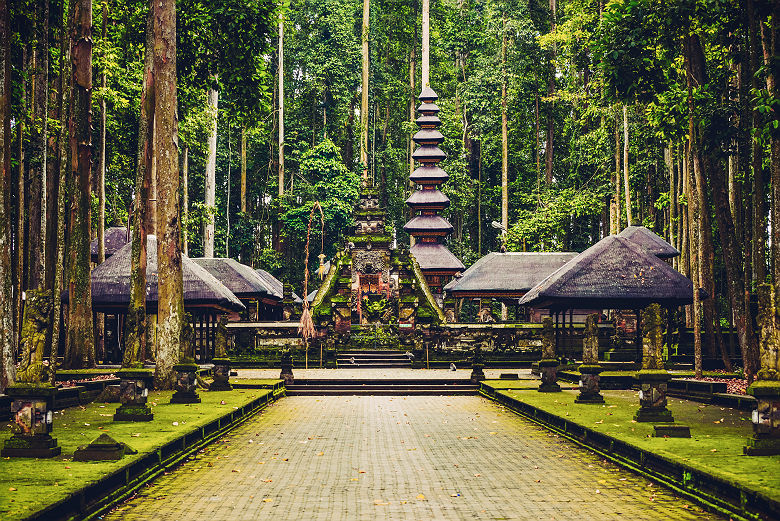 Sanctuaire sacré de la forêt des singes, Ubud - Bali, Indonésie