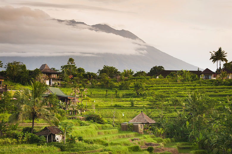 Bali - Rizières au village Sidemen