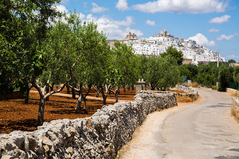 Vue sur la ville d'Ostuni et ses oliviers - Pouilles, Italie