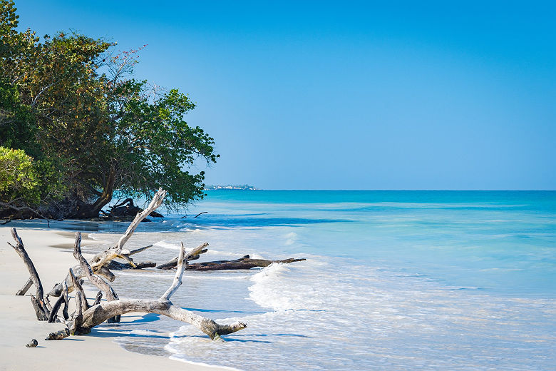 amplitudes_la_boheme_jamaicaine_treasure_beach