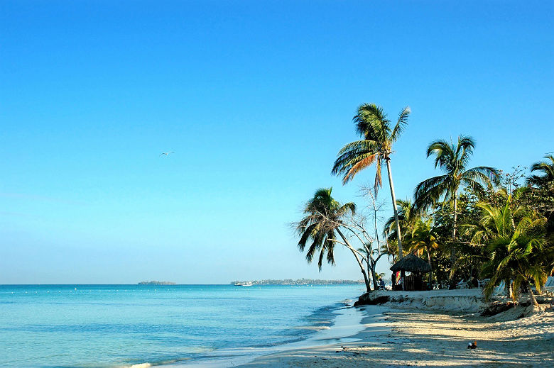 amplitudes_la_boheme_jamaicaine_plage_negril