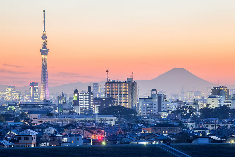 Japon - Vue sur la ville de Tokyo et mont Fuji en arrière-plan