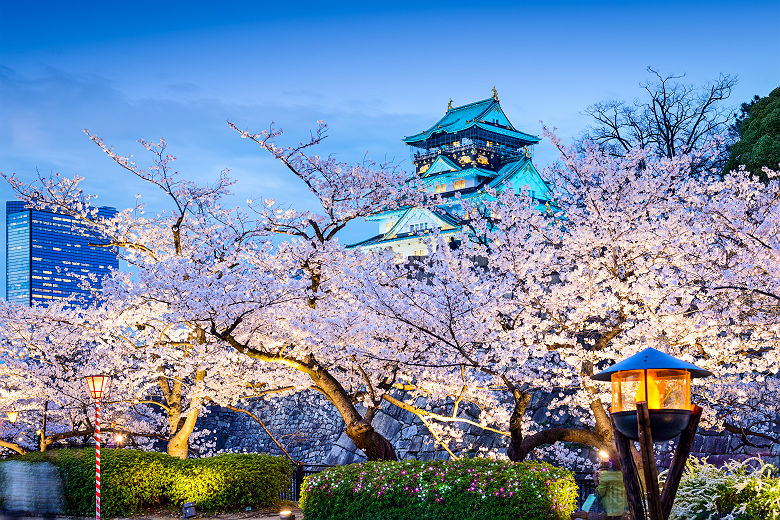 Japon - Cerisiers en floraison et château d'Osaka en arrière-plan