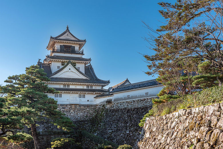 Scenery of the Kochi castle in Kochi, Japan