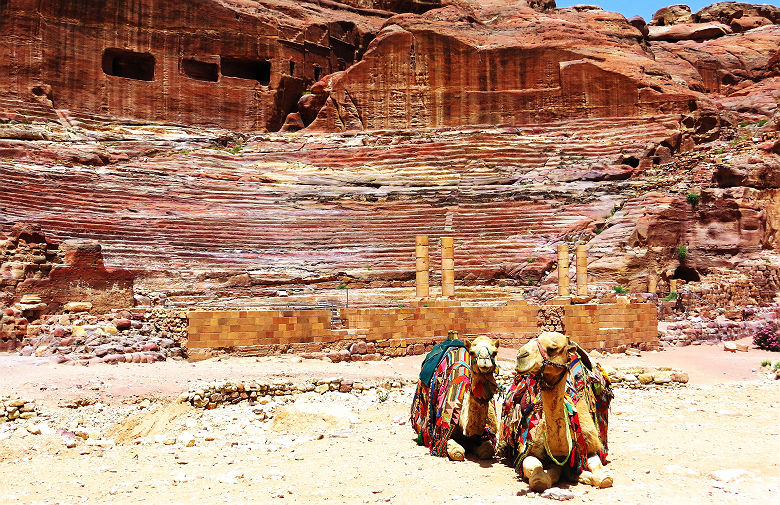 Chameaux à Petra - Jordanie