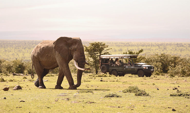 Africa Encounter Mara