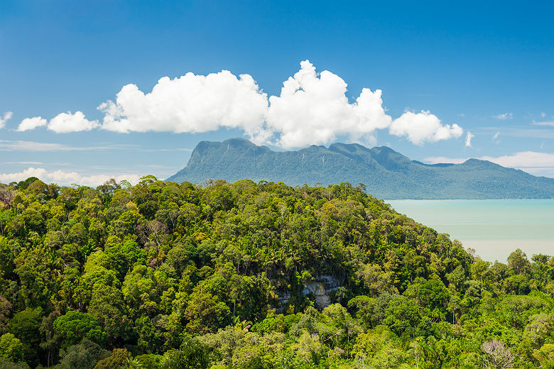 Paysage tropical au dessus de la jungle - Bornéo