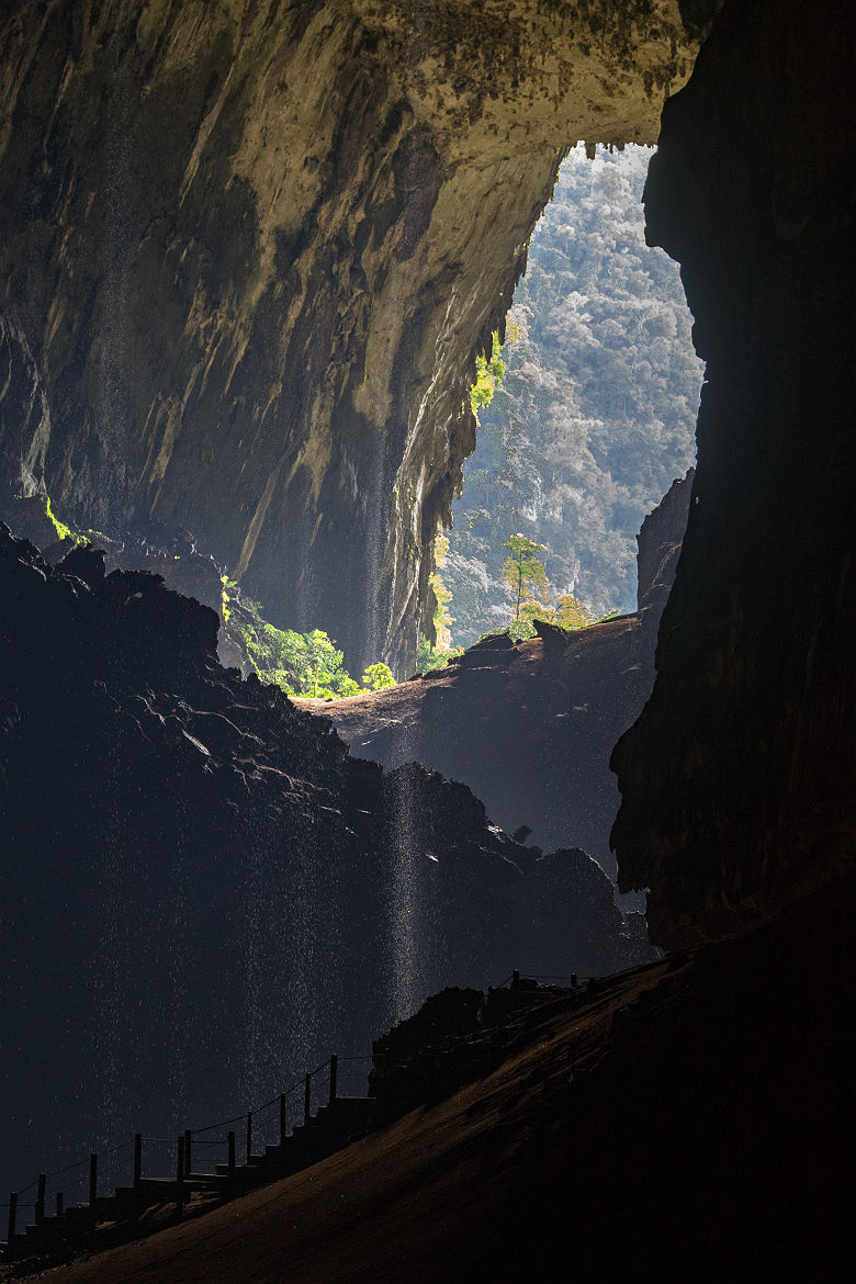 Deer Cave, Parc national de Gunung Mulu - Bornéo