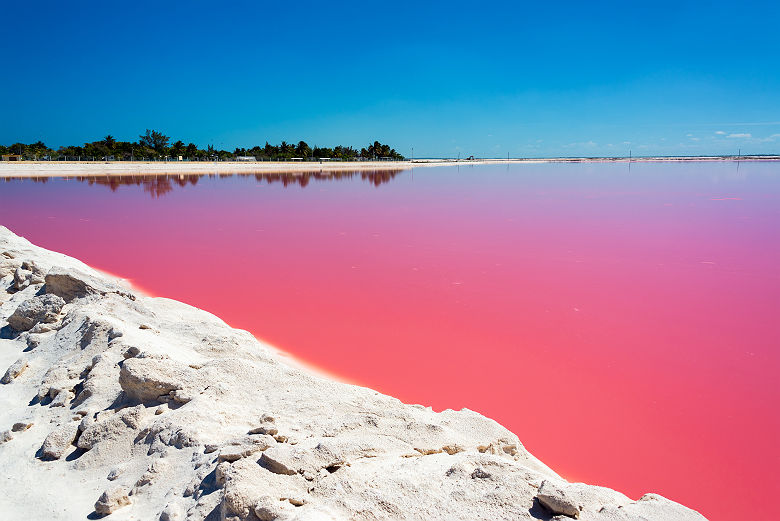 Le lac rose Las Coloradas