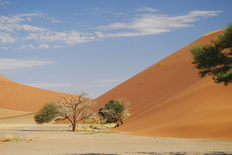 Désert de Namibie, Sossusvlei