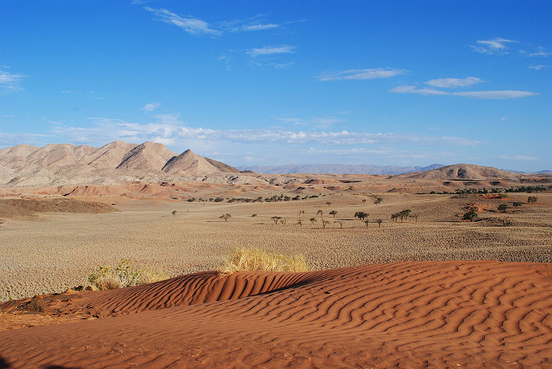 Dunes du désert du Namib
