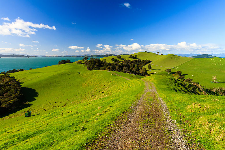 Nouvelle Zélande - Sentier au parc régional Duder, Auckland