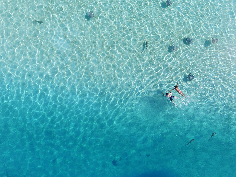 MOOREA_Copyright _Matarai Technicals