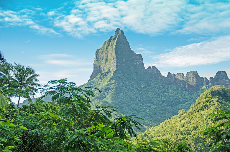 Paysage des montagnes de Moorea - Polynésie Française