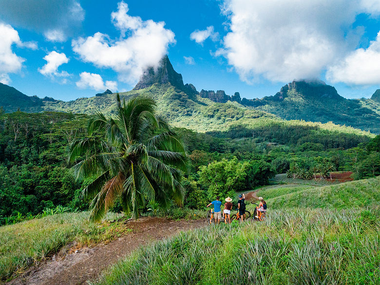 MOOREA_00242_Copyright _Gregoire Le Bacon