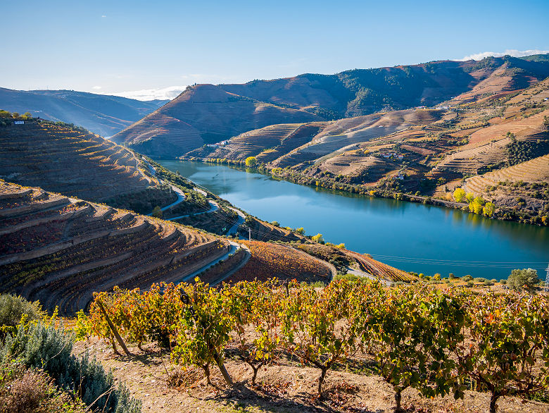 Les vignobles de la Vallée du Douro - Portugal