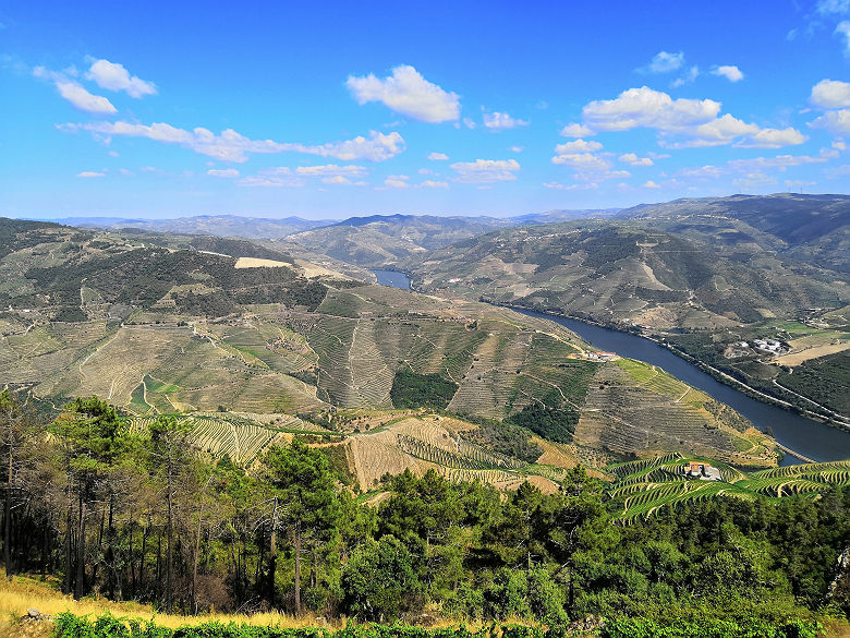Estrada Sao Leonardo, Galafura, Vila Real, Portugal