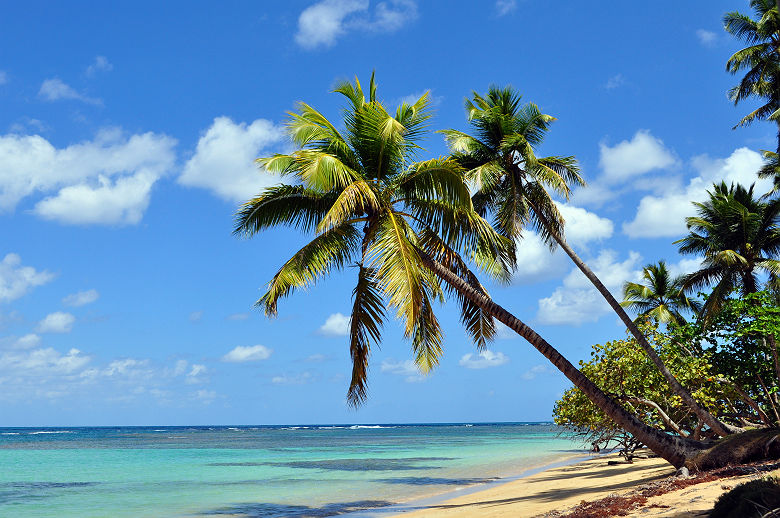 Las Terrenas - République Dominicaine