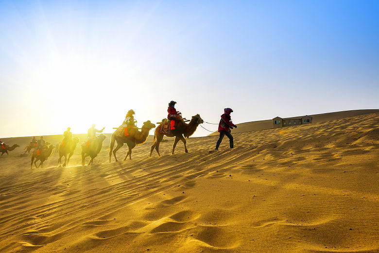 Mongolie - Traversée du désert Gobi à chameau