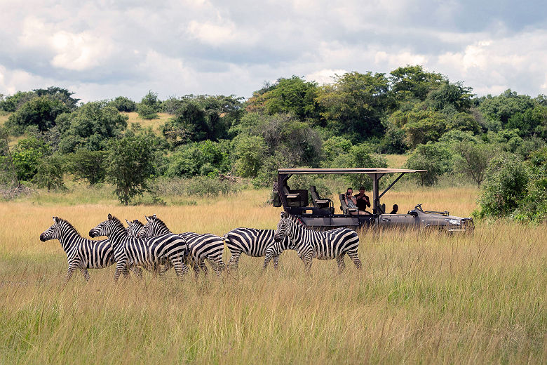 Wilderness Magashi - Safari