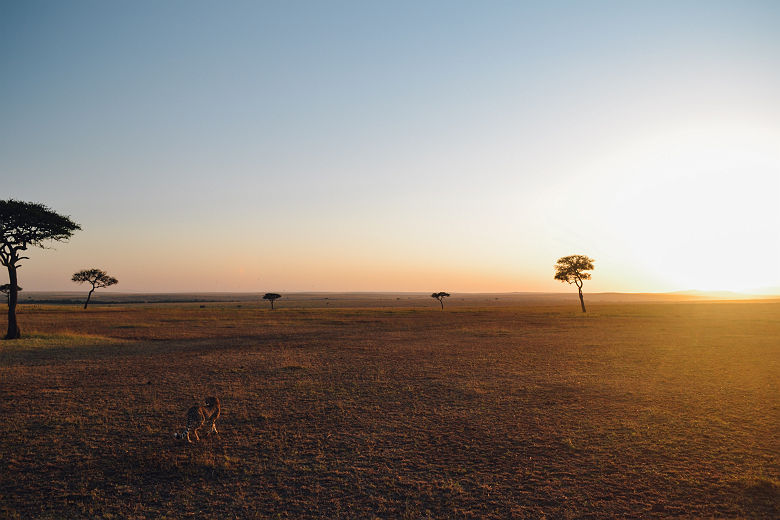 Survol de la Tanzanie