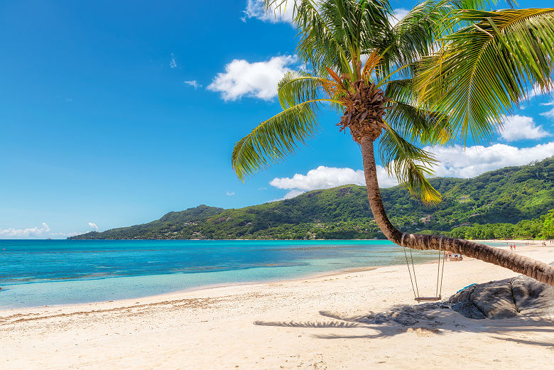 Seychelles - Balançoire pendue sur un palmier dans la plage Beau Vallon sur l'île Mahé