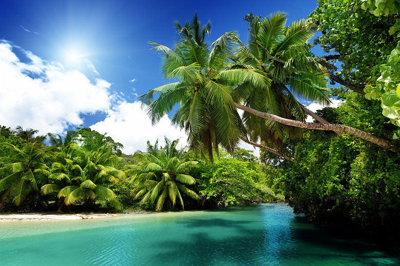 Seychelles - Vue sur le lac et des palmiers à l'île Mahe