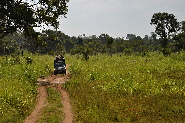 Safari au parc national de Gal Oya, Sri lanka