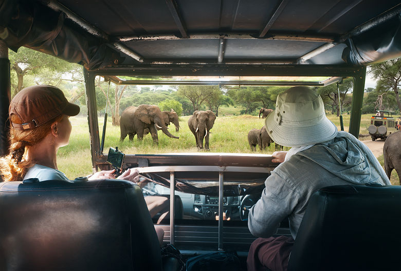 Safari à la rencontre des éléphants