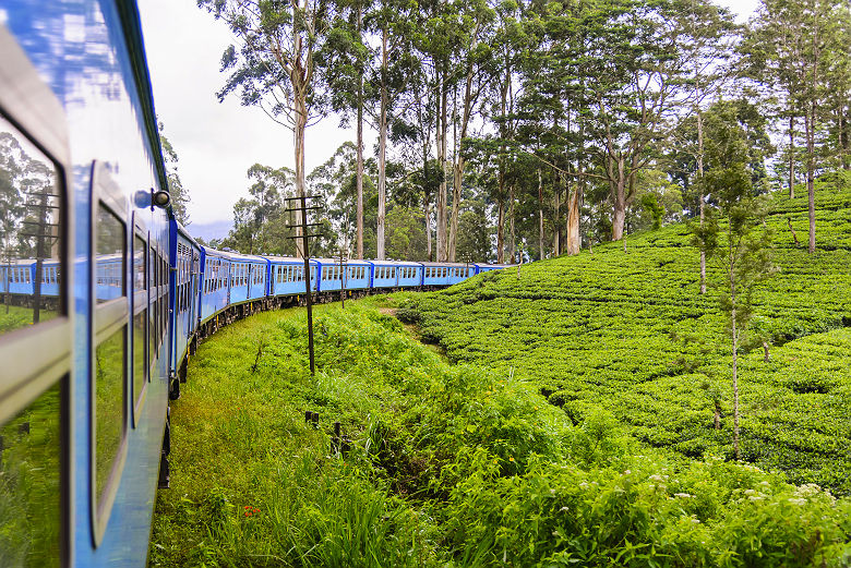 Train au Sri lanka