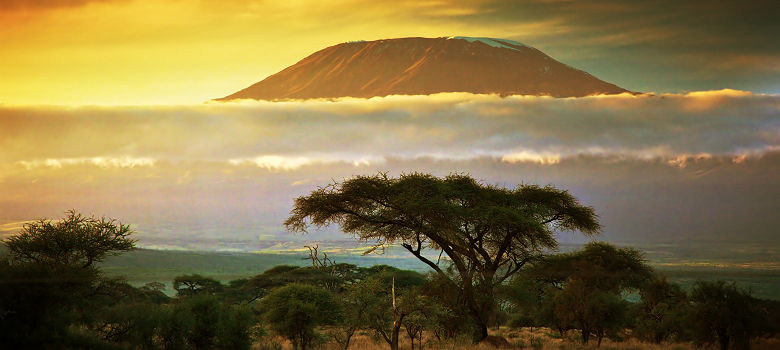 Le Mont Kilimanjaro vu depuis le Parc National d'Amboseli au Kenya