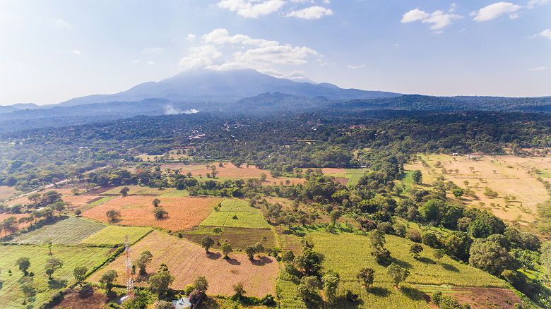 Tanzanie - Vue sur la ville d'Arusha