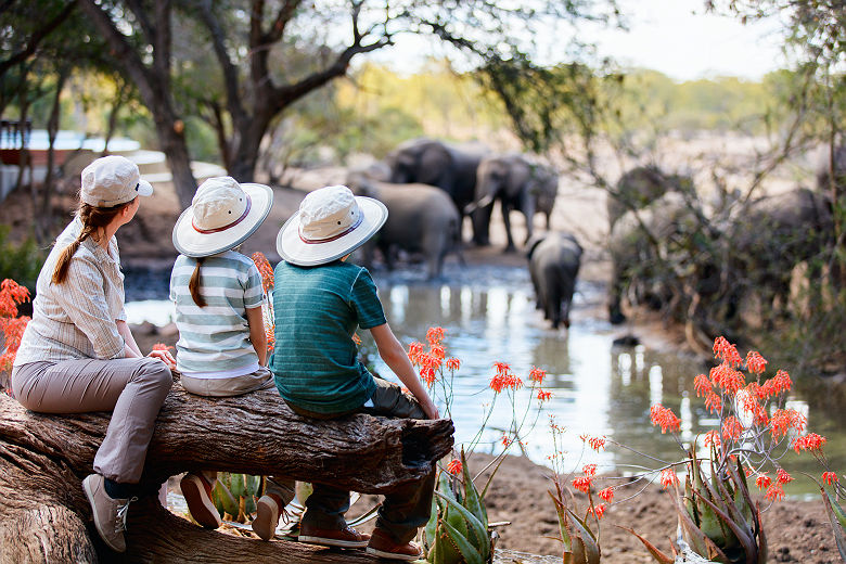 Famille en safari