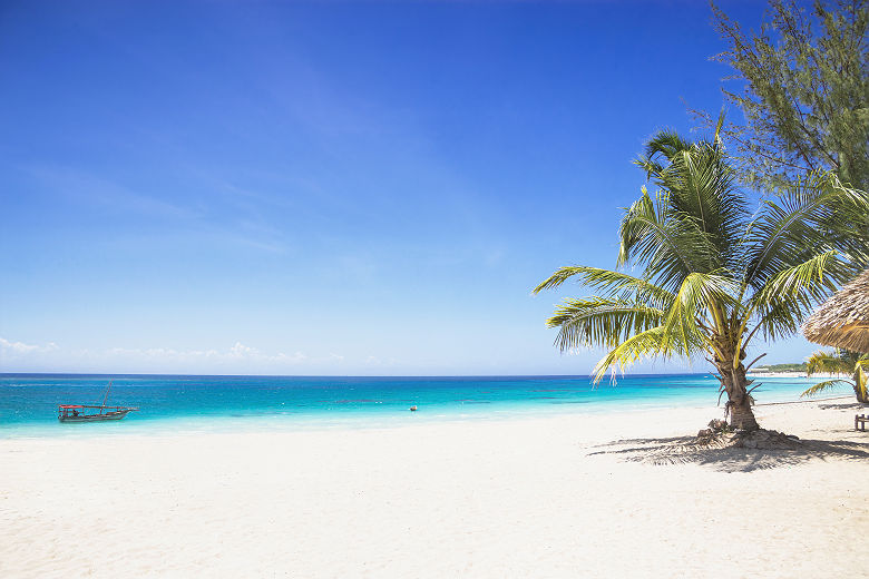 Plage tropicale - Tanzanie