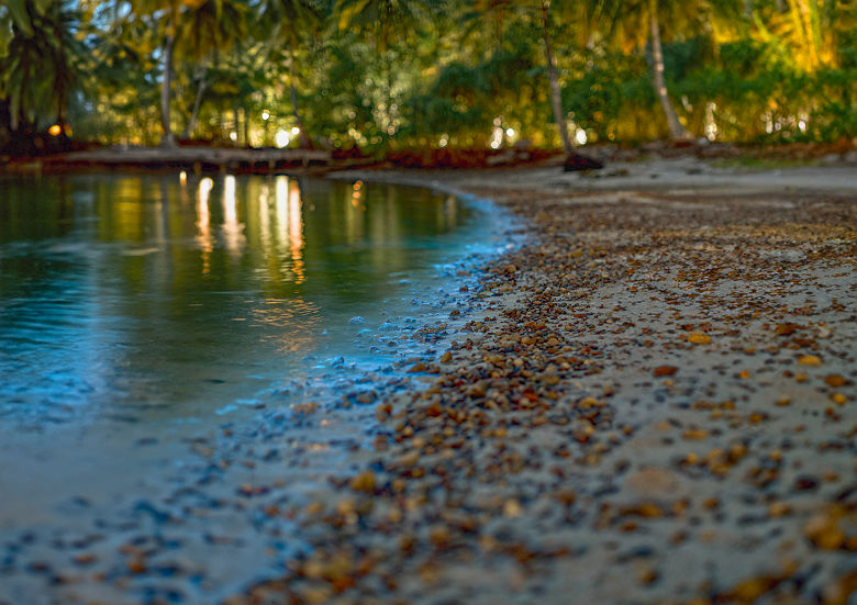 Song Saa Private Island - bioluminescence