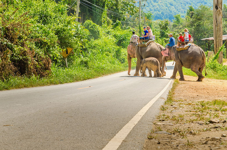 Touristes à dos d'éléphants dans un village près de Chiang Mai - Thaïlande