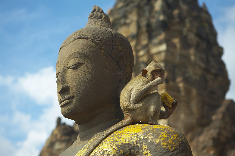 Singe sur une statue à Lopburi - Thaïlande