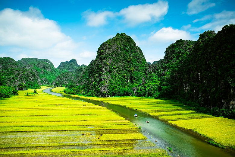Vietnam - Rizières séparées par le fleuve qui traverse le paysage à Ninh Binh