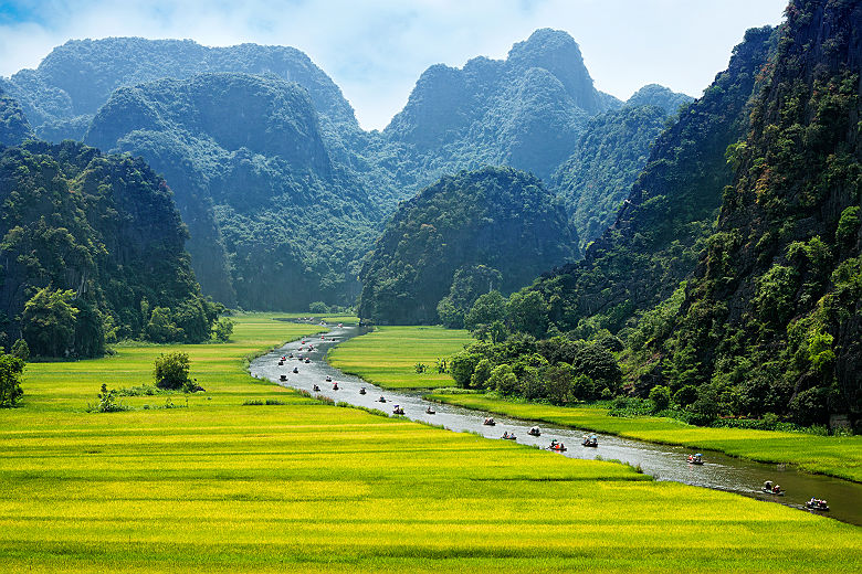 Vietnam - Vue sur des rizières et la rivière Ninh Binh