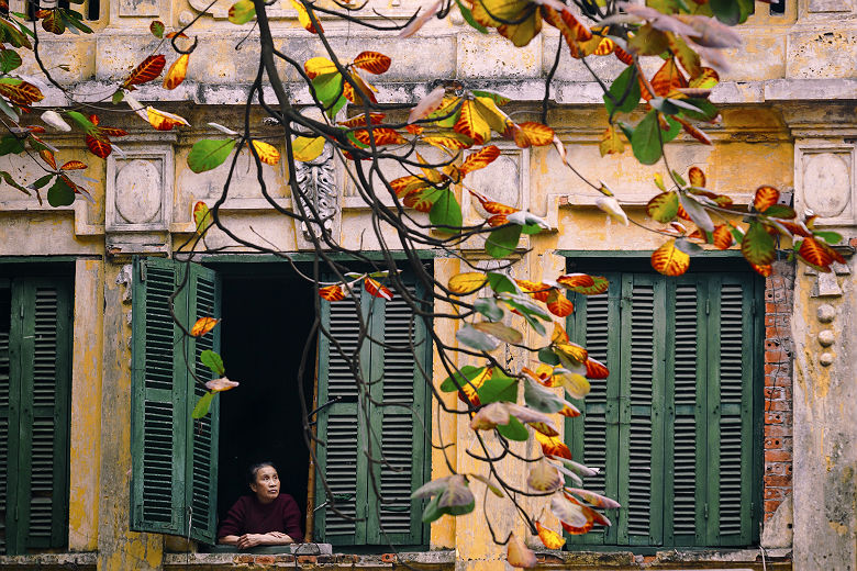 Fenêtres du vieux quartier d'Hanoi - Vietnam
