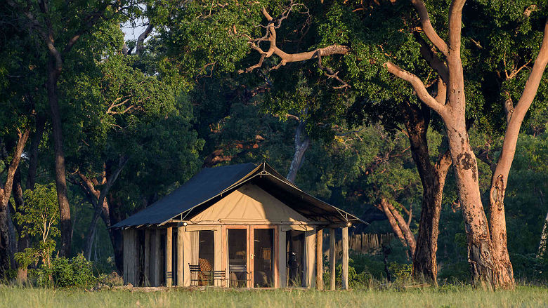 Davison's camp - Parc National Hwange, Zimbabwe