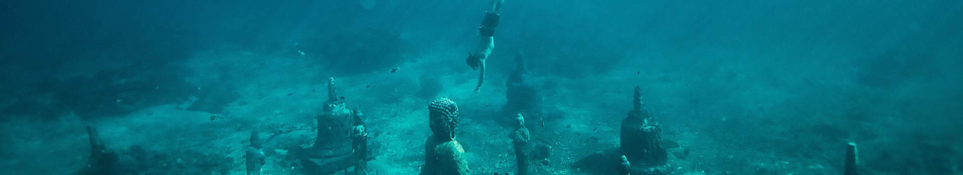 Plongée et Snorkeling