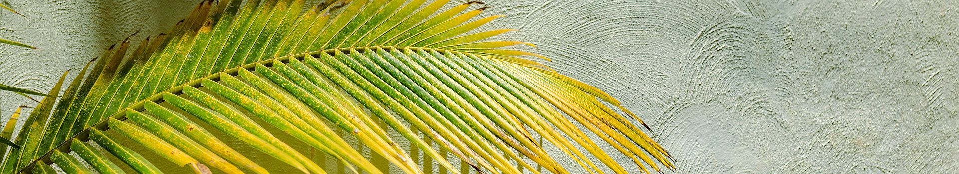 Voyage à Zanzibar