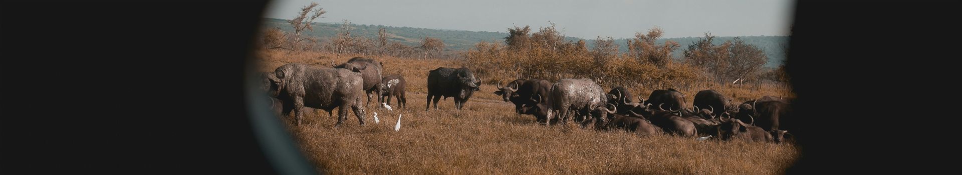Voyage au Rwanda