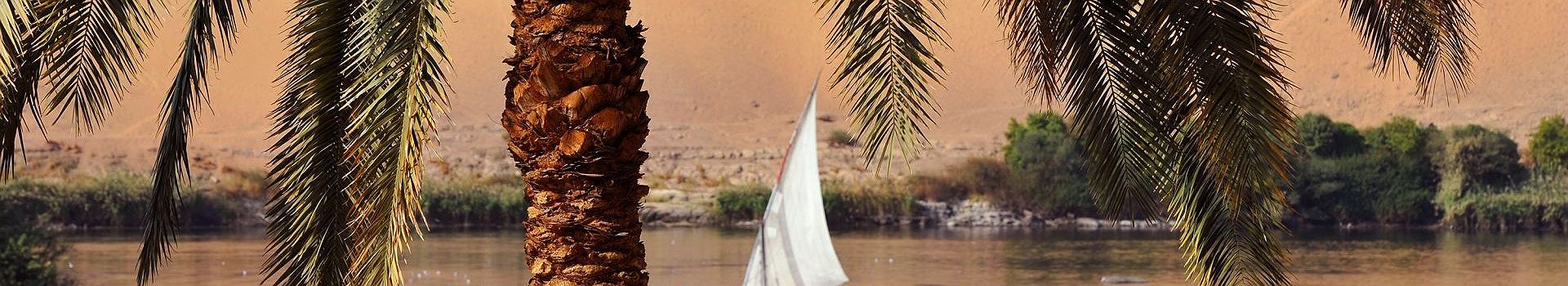 Voyage en Egypte