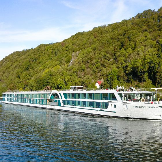 amadeus silver ii